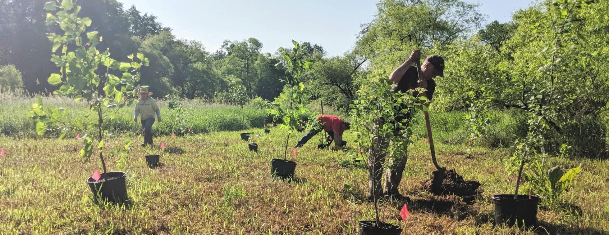 Stewardship Volunteer Thursday